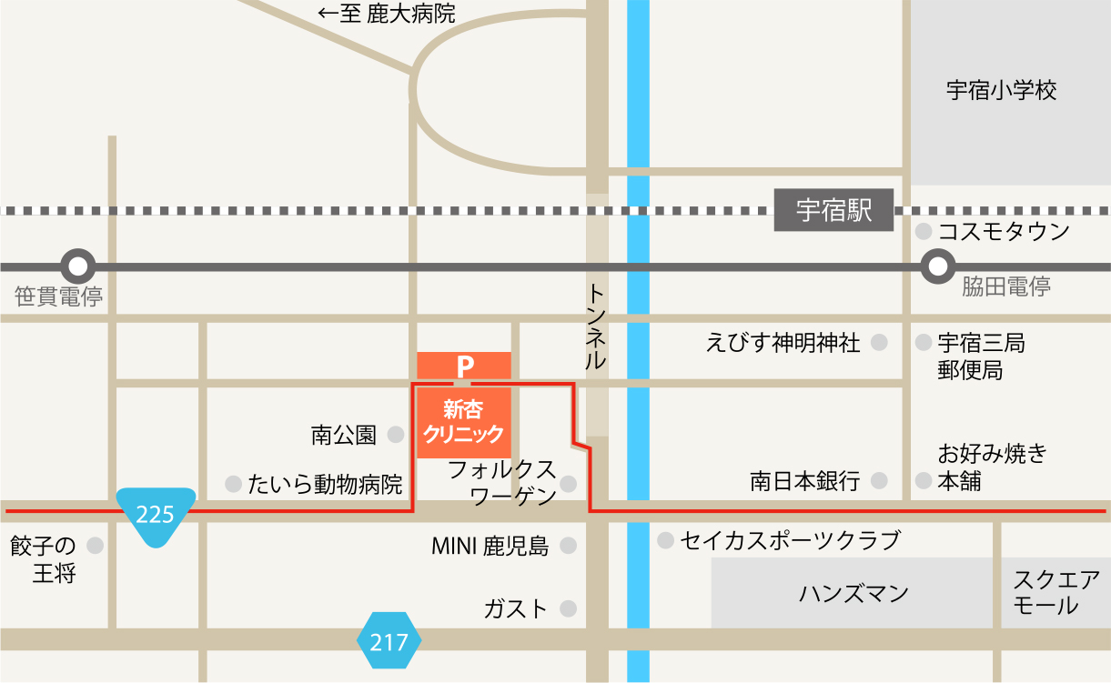 新杏クリニック　アクセスマップ
